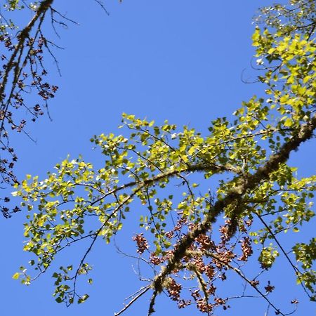 Nature Space Jabugo Dış mekan fotoğraf